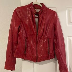Massimo Dutti leather biker jacket